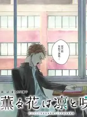拆解现场 综艺海报 555影视